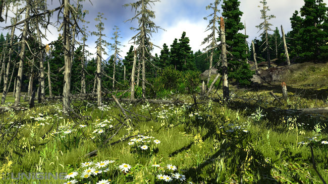 Valley demo: terrain and vegatation